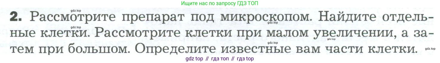 ГДЗ Биология, 5 класс Учебник, авторы: Пономарева Ирма Николаевна, Николаев Игорь Владиславович, Корнилова Ольга Анатольевна, издательство Просвещение, Москва, 2023, зелёного цвета, страница 54, номер 2, Условие