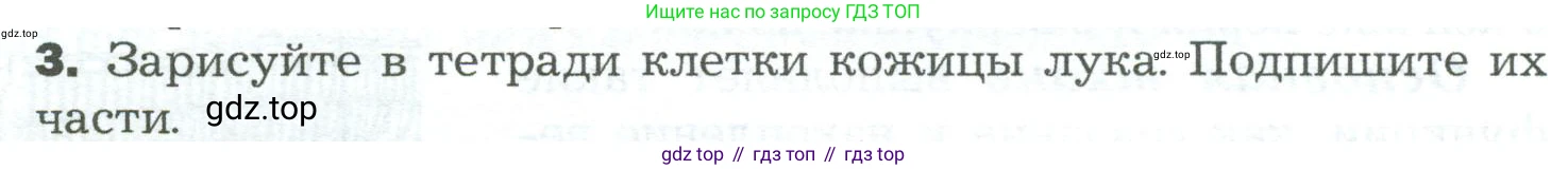 ГДЗ Биология, 5 класс Учебник, авторы: Пономарева Ирма Николаевна, Николаев Игорь Владиславович, Корнилова Ольга Анатольевна, издательство Просвещение, Москва, 2023, зелёного цвета, страница 54, номер 3, Условие