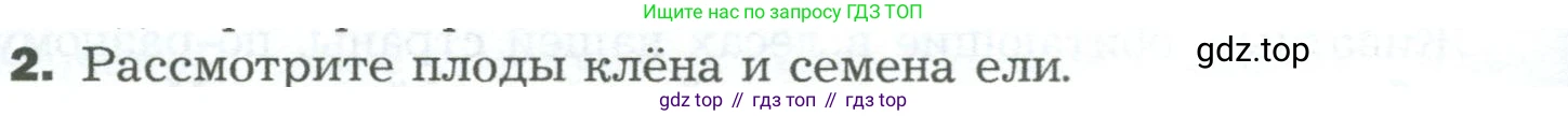 ГДЗ Биология, 5 класс Учебник, авторы: Пономарева Ирма Николаевна, Николаев Игорь Владиславович, Корнилова Ольга Анатольевна, издательство Просвещение, Москва, 2023, зелёного цвета, страница 106, Условие