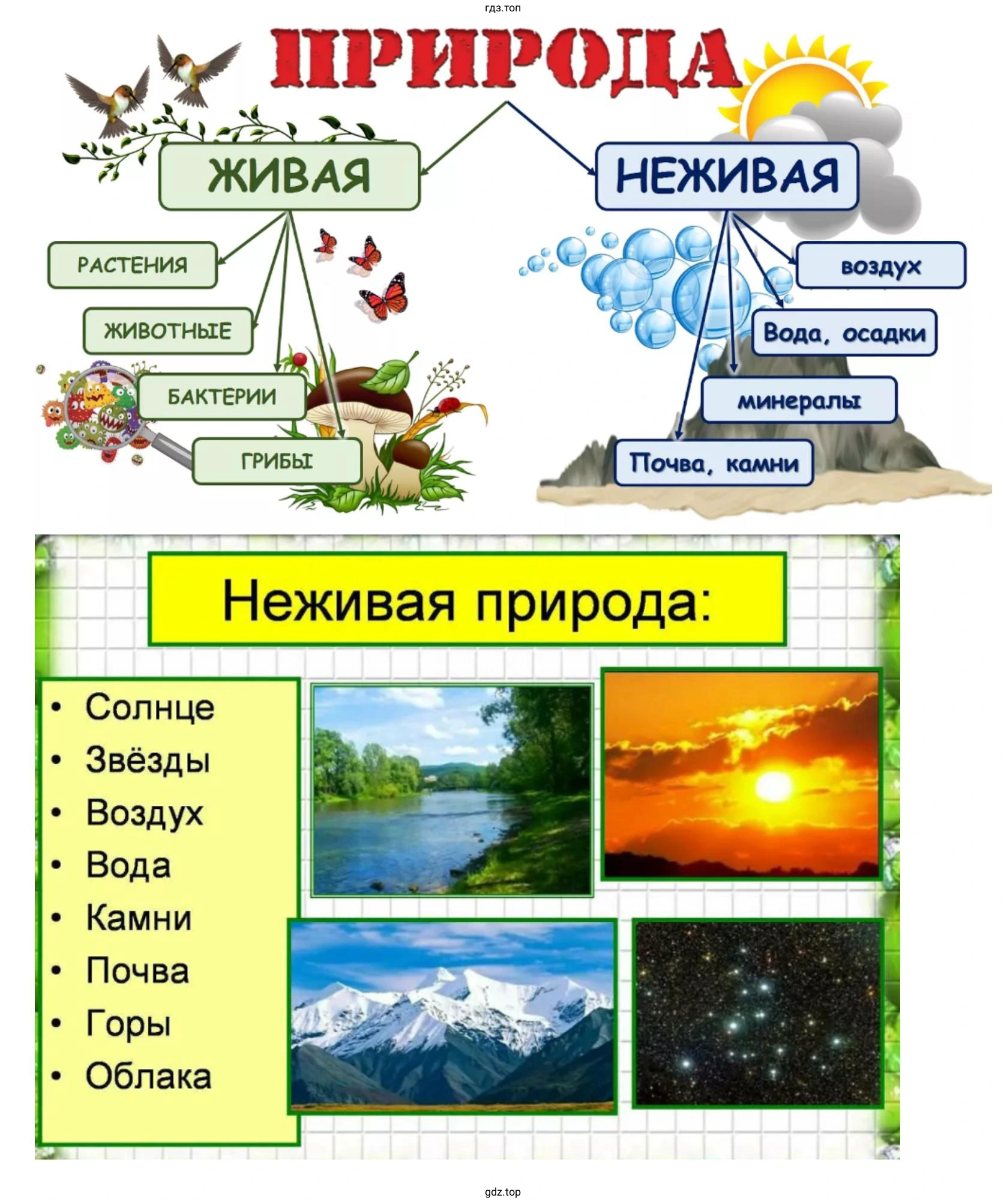 Создайте наглядное пособие о неживой природе