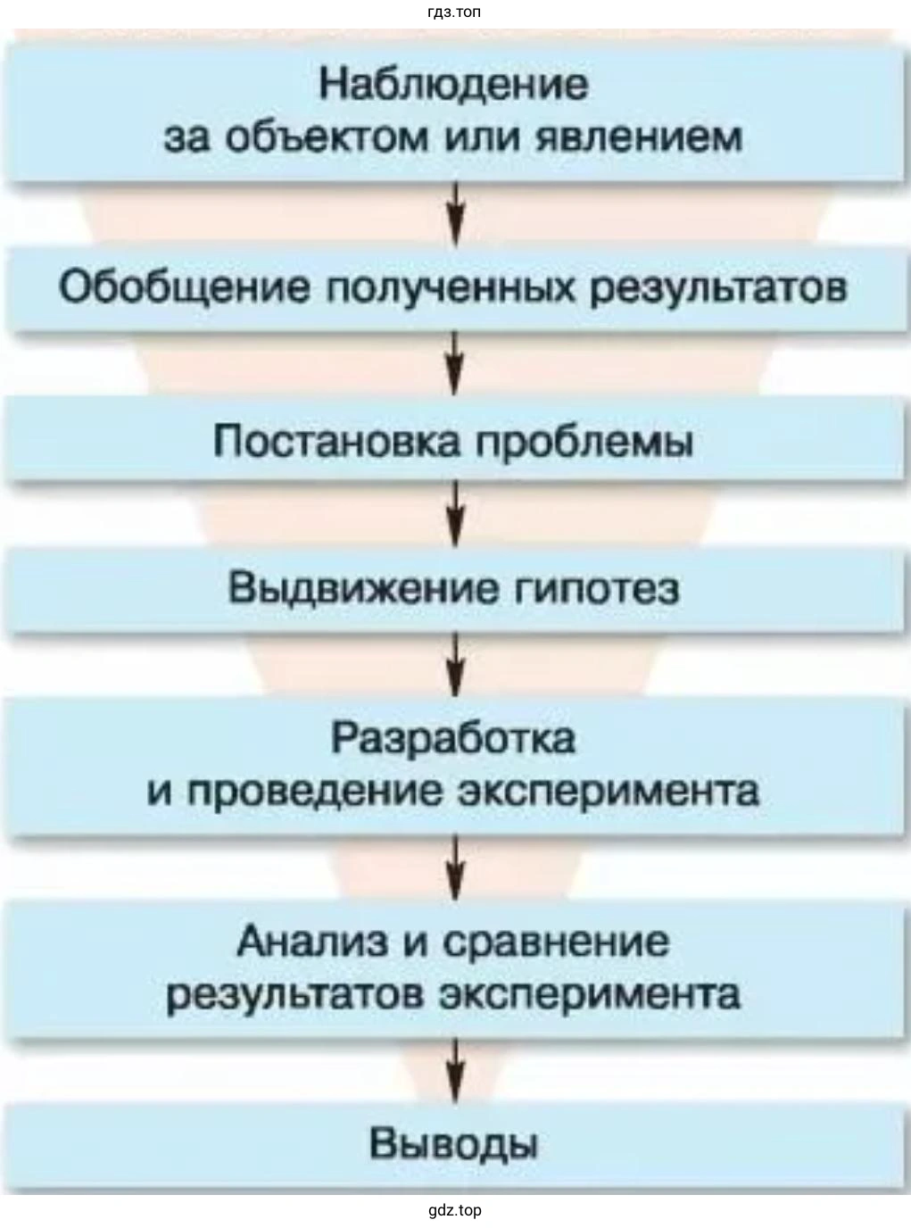 Создайте схему последовательности действий орнитолога в его исследовании птиц
