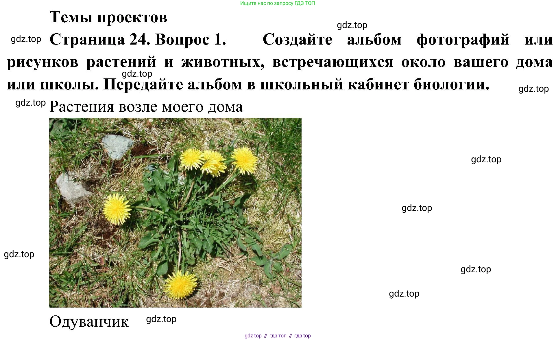 ГДЗ Биология, 5 класс Учебник, авторы: Пономарева Ирма Николаевна, Николаев Игорь Владиславович, Корнилова Ольга Анатольевна, издательство Просвещение, Москва, 2023, зелёного цвета, страница 24, номер 1, Решение