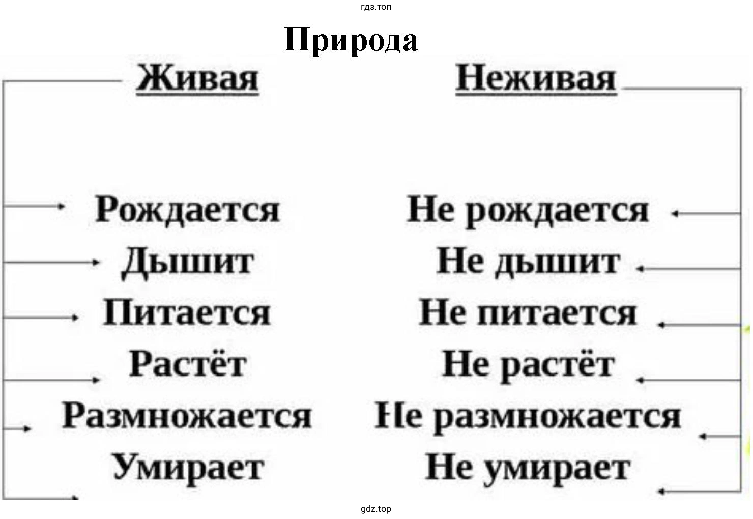 Создайте таблицу для отображения сходства и различия живой и неживой природы