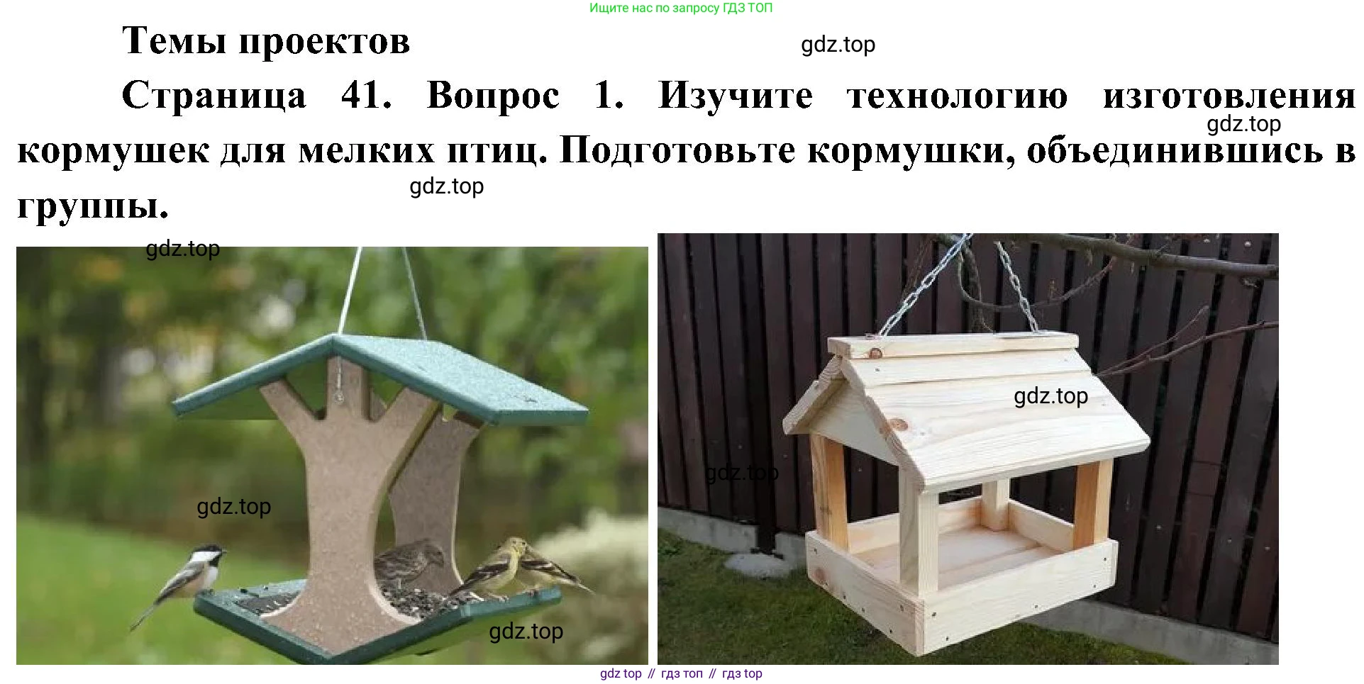 ГДЗ Биология, 5 класс Учебник, авторы: Пономарева Ирма Николаевна, Николаев Игорь Владиславович, Корнилова Ольга Анатольевна, издательство Просвещение, Москва, 2023, зелёного цвета, страница 41, номер 1, Решение