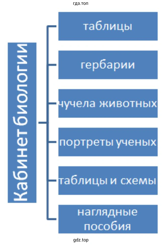 предложите план своего исследования.