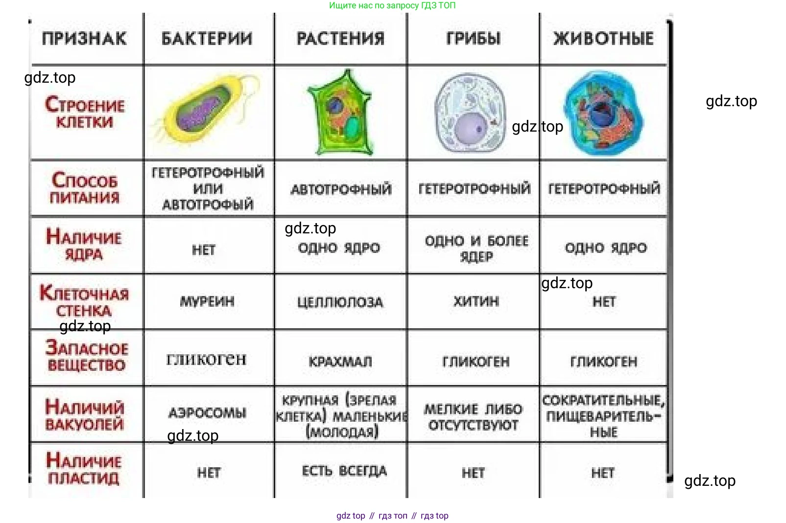 ГДЗ Биология, 5 класс Учебник, авторы: Пономарева Ирма Николаевна, Николаев Игорь Владиславович, Корнилова Ольга Анатольевна, издательство Просвещение, Москва, 2023, зелёного цвета, страница 91, номер 3, Решение