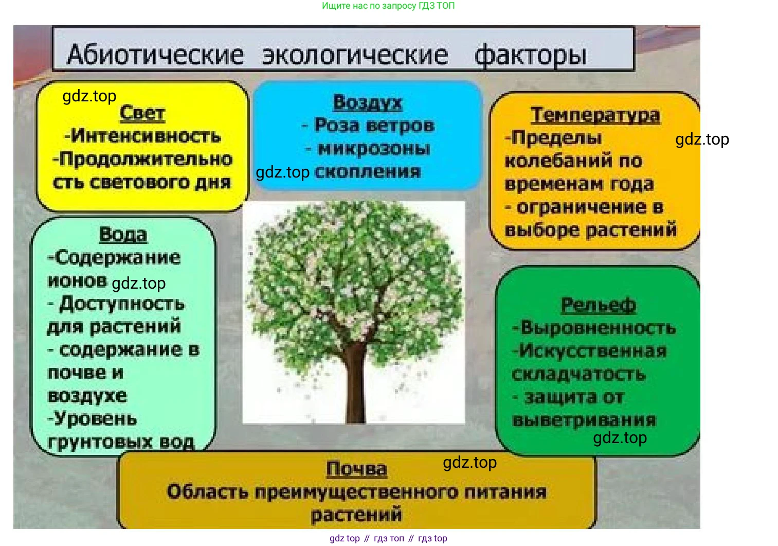 ГДЗ Биология, 5 класс Учебник, авторы: Пономарева Ирма Николаевна, Николаев Игорь Владиславович, Корнилова Ольга Анатольевна, издательство Просвещение, Москва, 2023, зелёного цвета, страница 120, номер 1, Решение (продолжение 2)