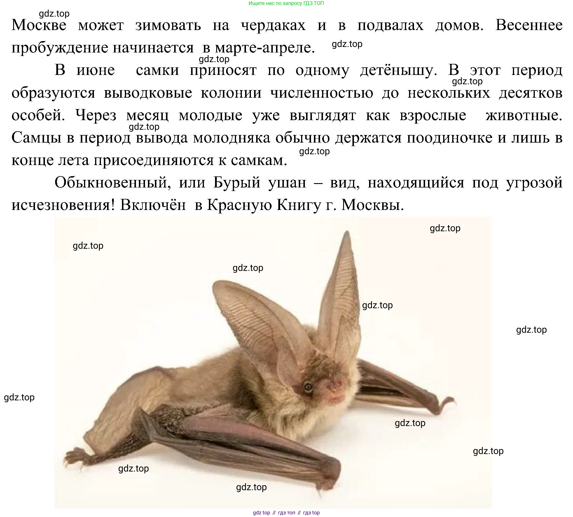 ГДЗ Биология, 5 класс Учебник, авторы: Пономарева Ирма Николаевна, Николаев Игорь Владиславович, Корнилова Ольга Анатольевна, издательство Просвещение, Москва, 2023, зелёного цвета, страница 119, номер 6, Решение (продолжение 2)