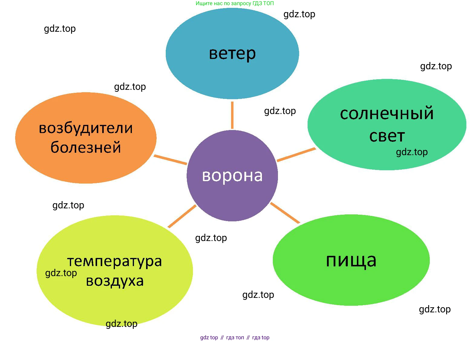 ГДЗ Биология, 5 класс Учебник, авторы: Пономарева Ирма Николаевна, Николаев Игорь Владиславович, Корнилова Ольга Анатольевна, издательство Просвещение, Москва, 2023, зелёного цвета, страница 120, номер 2, Решение (продолжение 2)