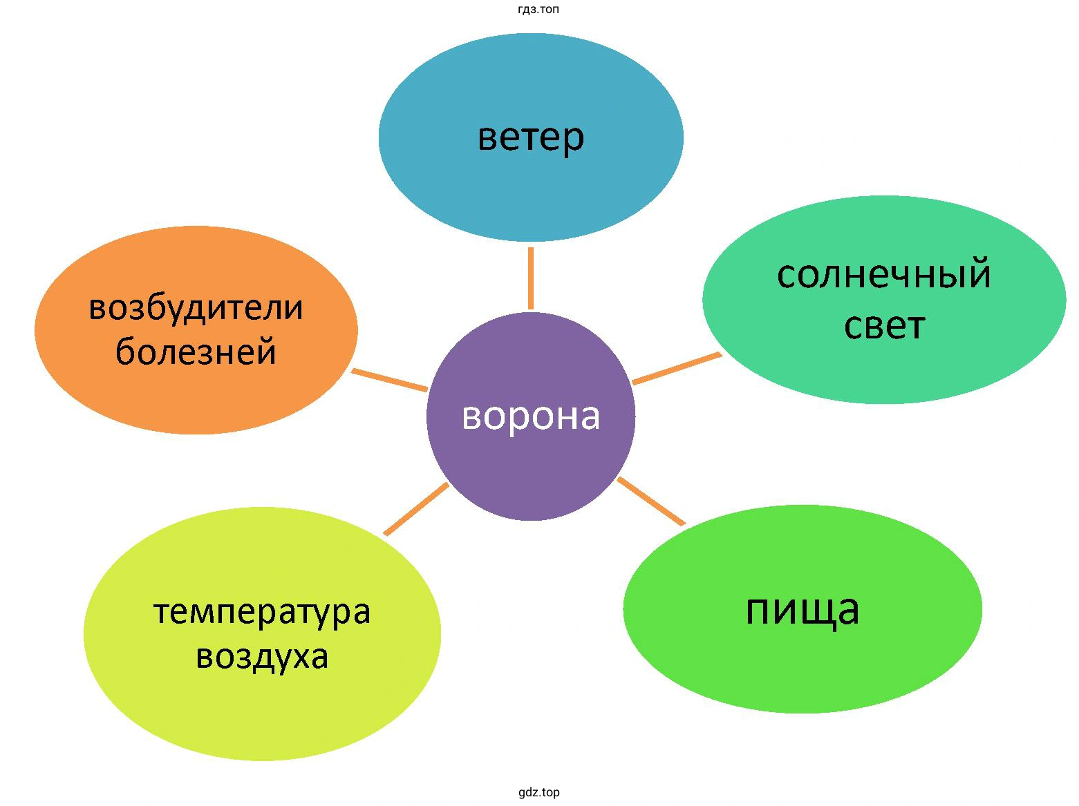Построить схему действия экологических факторов на организм вороны