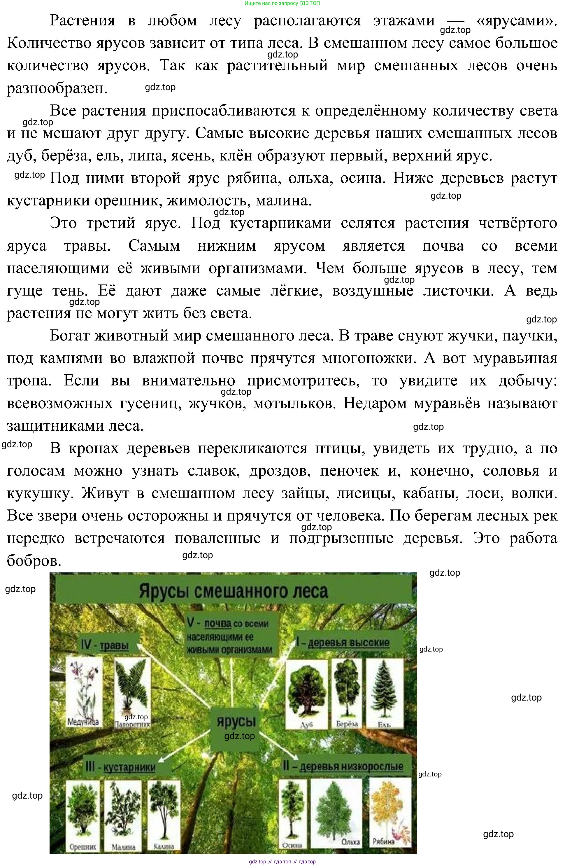 ГДЗ Биология, 5 класс Учебник, авторы: Пономарева Ирма Николаевна, Николаев Игорь Владиславович, Корнилова Ольга Анатольевна, издательство Просвещение, Москва, 2023, зелёного цвета, страница 143, Решение (продолжение 2)