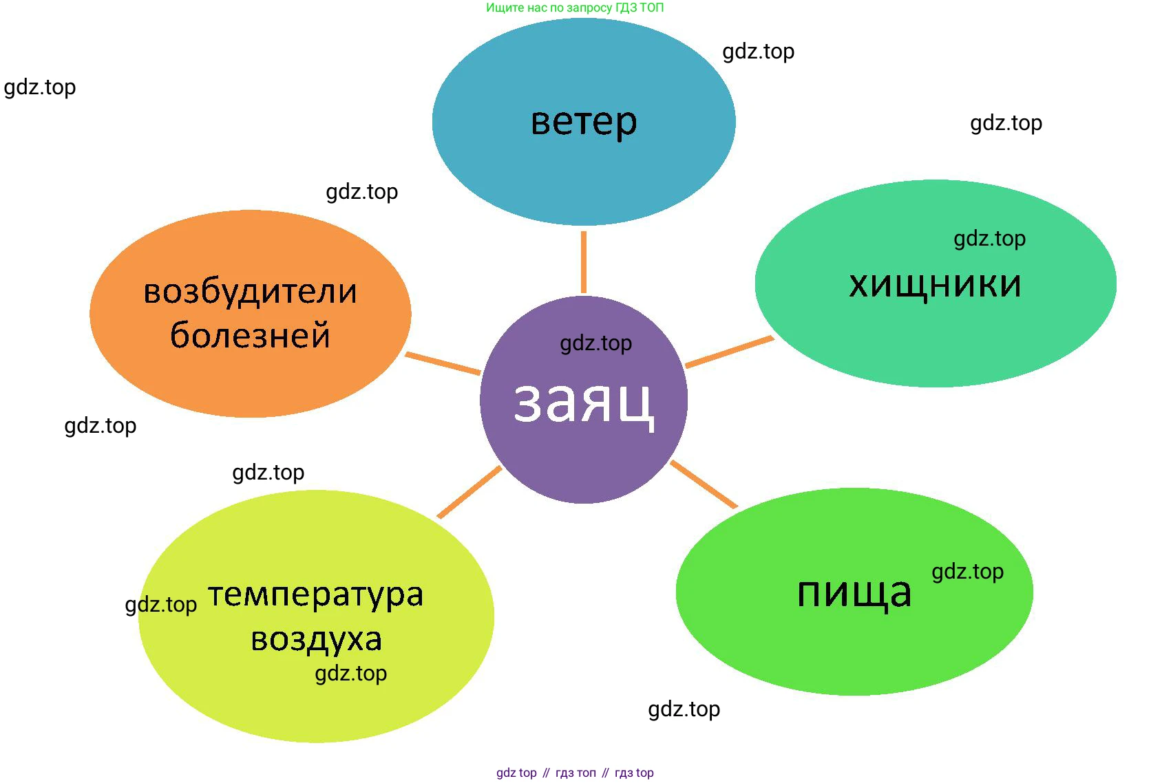 ГДЗ Биология, 5 класс Учебник, авторы: Пономарева Ирма Николаевна, Николаев Игорь Владиславович, Корнилова Ольга Анатольевна, издательство Просвещение, Москва, 2023, зелёного цвета, страница 142, номер 1, Решение