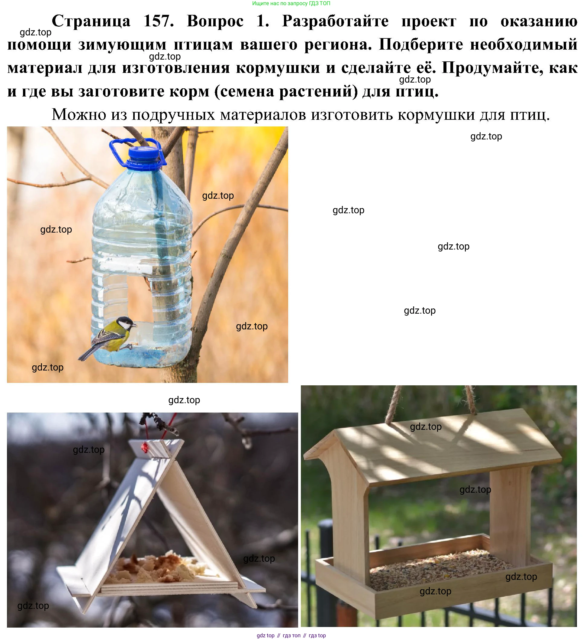 ГДЗ Биология, 5 класс Учебник, авторы: Пономарева Ирма Николаевна, Николаев Игорь Владиславович, Корнилова Ольга Анатольевна, издательство Просвещение, Москва, 2023, зелёного цвета, страница 157, номер 1, Решение