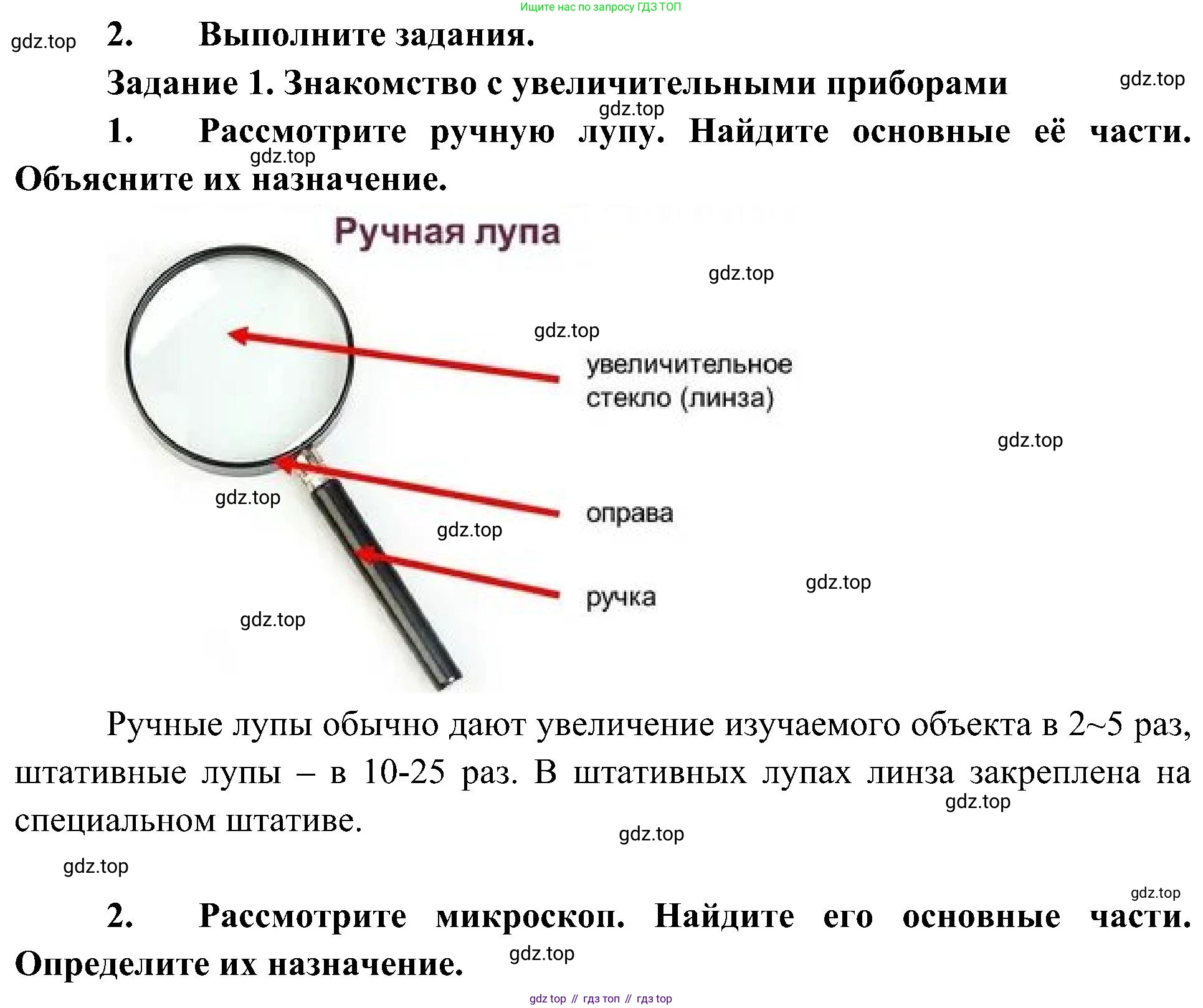 ГДЗ Биология, 5 класс Учебник, авторы: Пономарева Ирма Николаевна, Николаев Игорь Владиславович, Корнилова Ольга Анатольевна, издательство Просвещение, Москва, 2023, зелёного цвета, страница 38, Решение