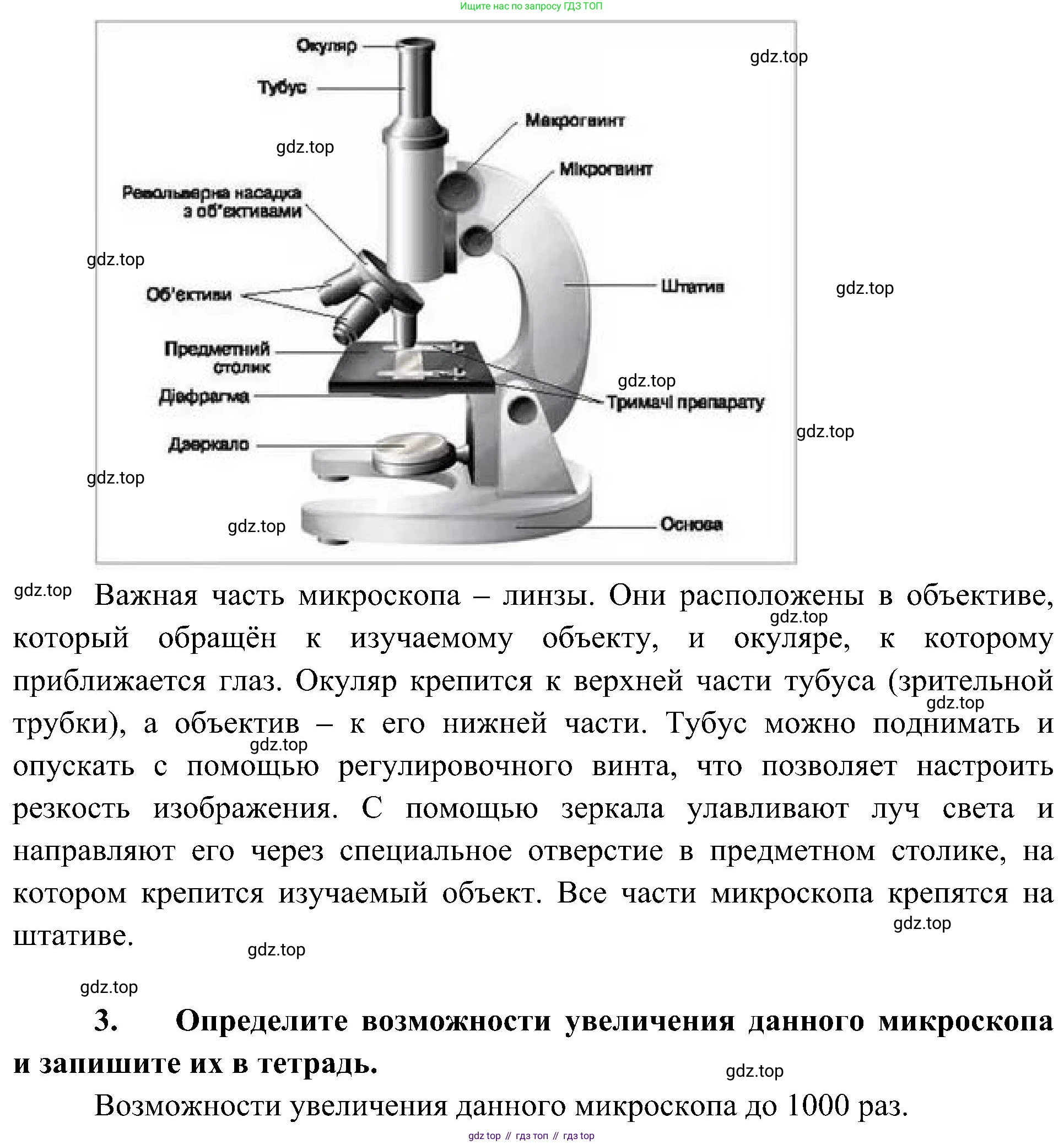ГДЗ Биология, 5 класс Учебник, авторы: Пономарева Ирма Николаевна, Николаев Игорь Владиславович, Корнилова Ольга Анатольевна, издательство Просвещение, Москва, 2023, зелёного цвета, страница 38, Решение (продолжение 2)