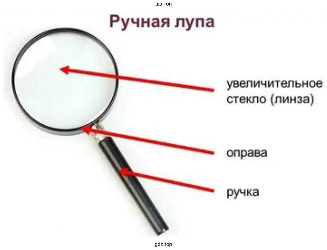 Рассмотрите ручную лупу. Найдите основные её части