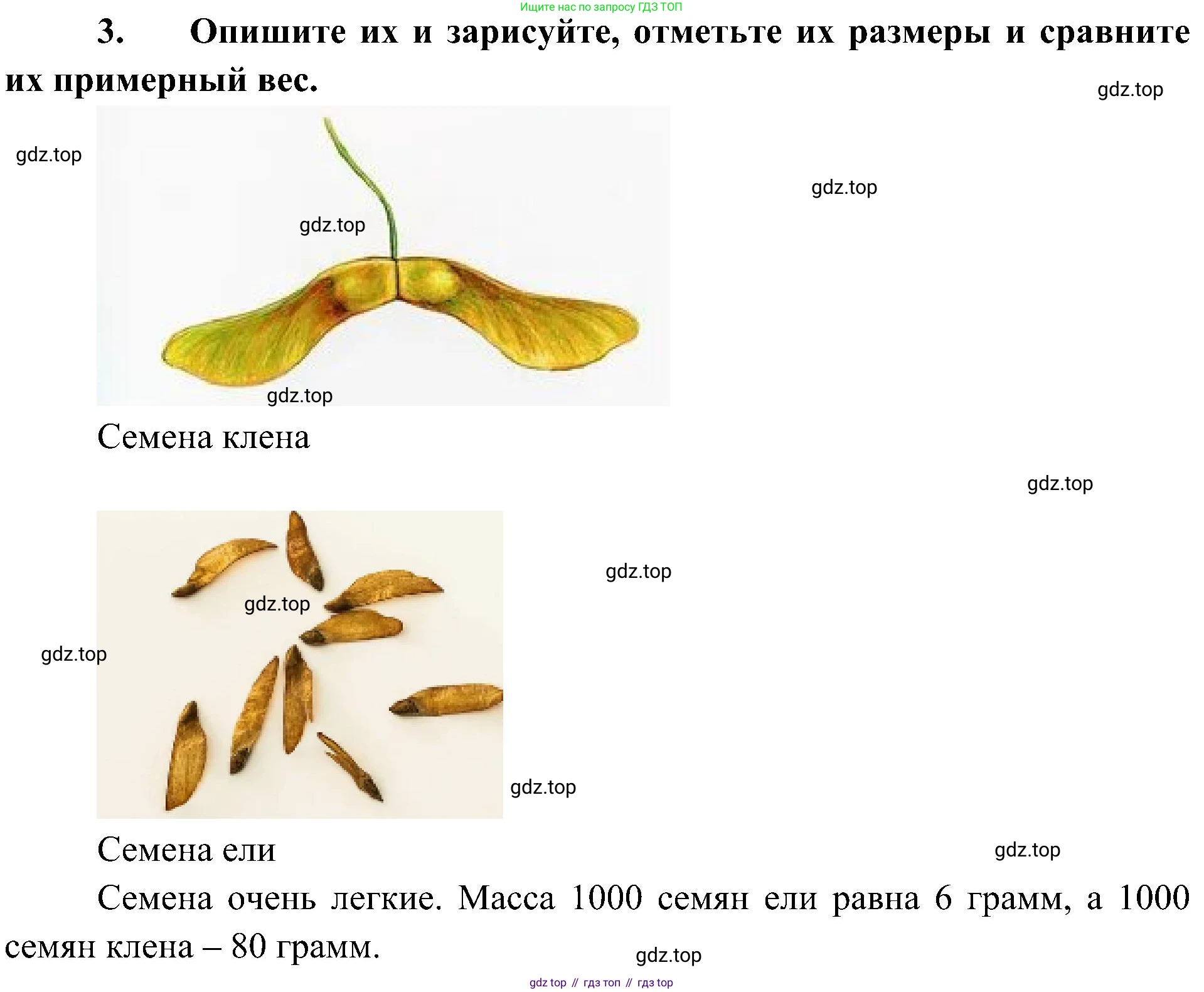 ГДЗ Биология, 5 класс Учебник, авторы: Пономарева Ирма Николаевна, Николаев Игорь Владиславович, Корнилова Ольга Анатольевна, издательство Просвещение, Москва, 2023, зелёного цвета, страница 106, Решение