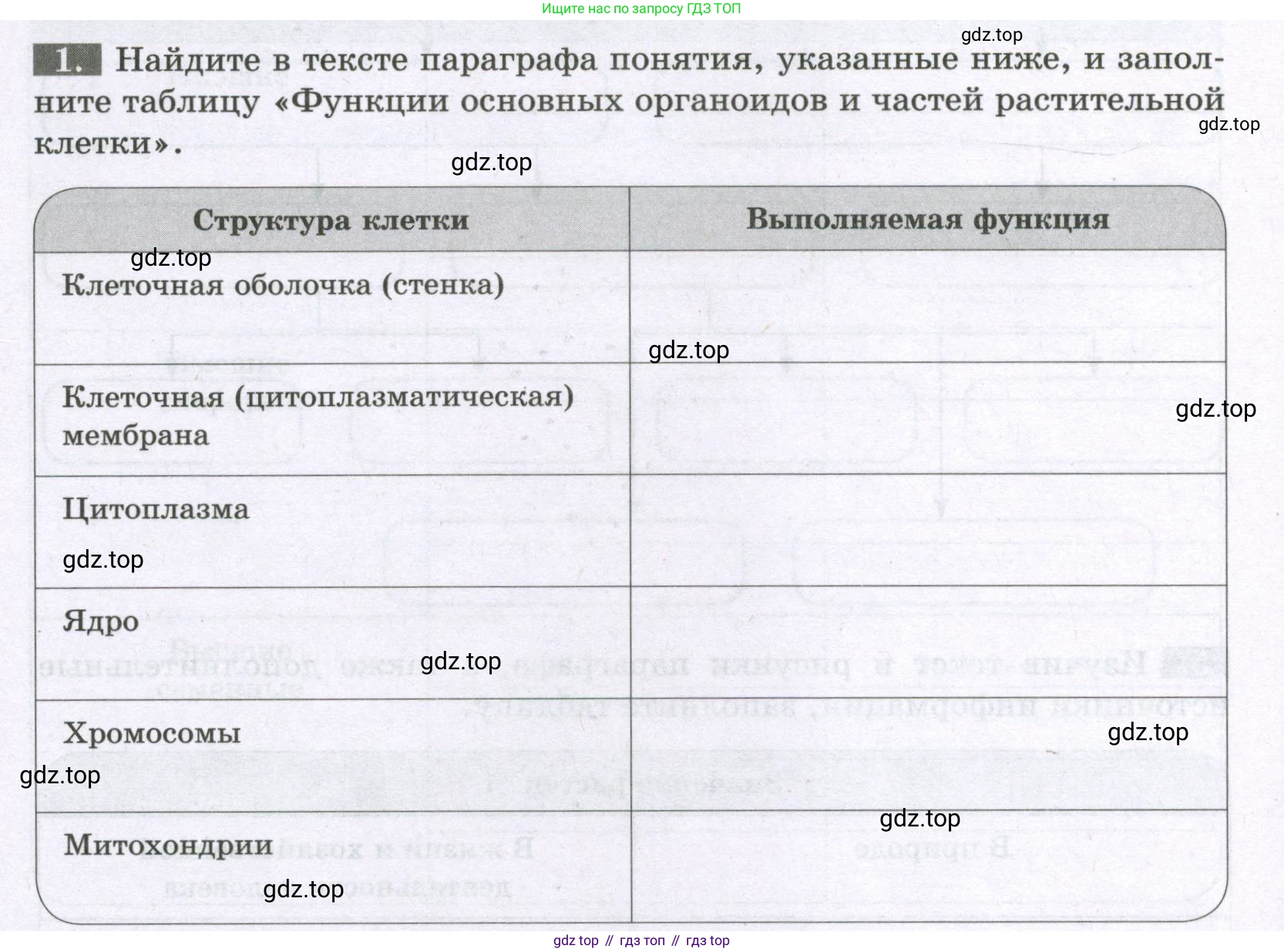 ГДЗ Биология, 6 класс рабочая тетрадь, авторы: Пасечник Владимир Васильевич, Суматохин Сергей Витальевич, Швецов Глеб Геннадьевич, Гапонюк Зоя Георгиевна, Косарькова Марина Викторовна, издательство Просвещение, Москва, 2023, белого цвета, страница 8, номер 1, Условие