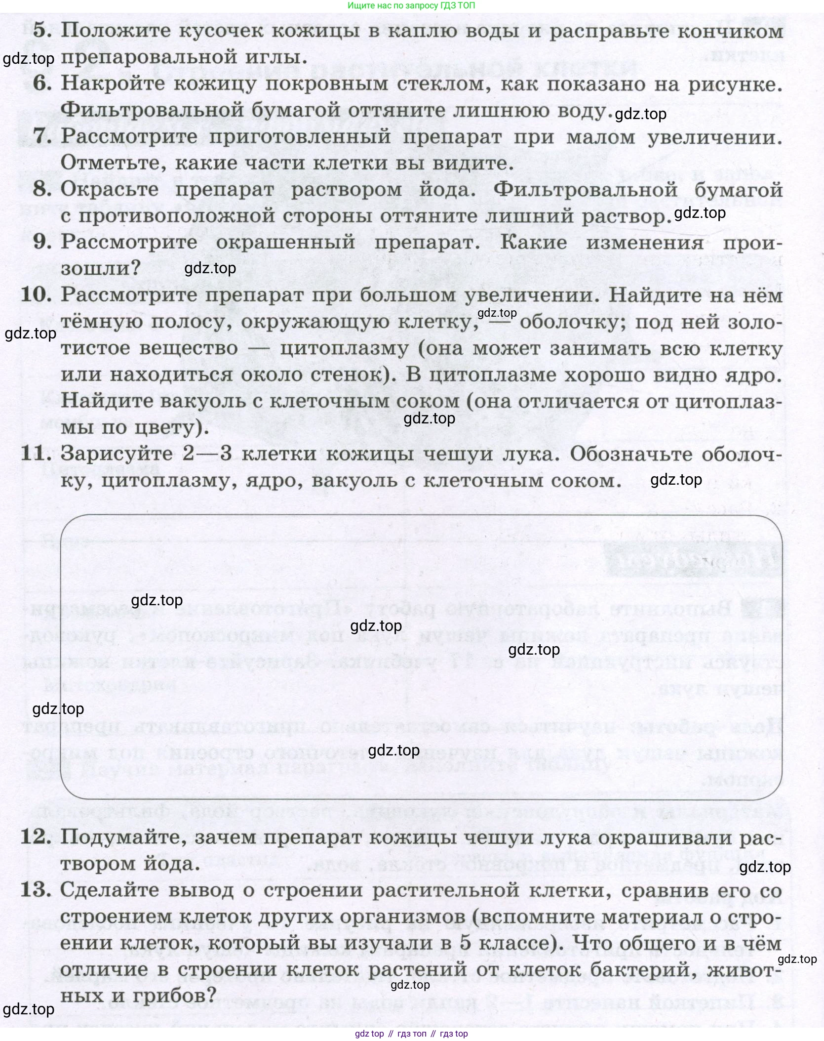 ГДЗ Биология, 6 класс рабочая тетрадь, авторы: Пасечник Владимир Васильевич, Суматохин Сергей Витальевич, Швецов Глеб Геннадьевич, Гапонюк Зоя Георгиевна, Косарькова Марина Викторовна, издательство Просвещение, Москва, 2023, белого цвета, страница 9, номер 4, Условие (продолжение 2)