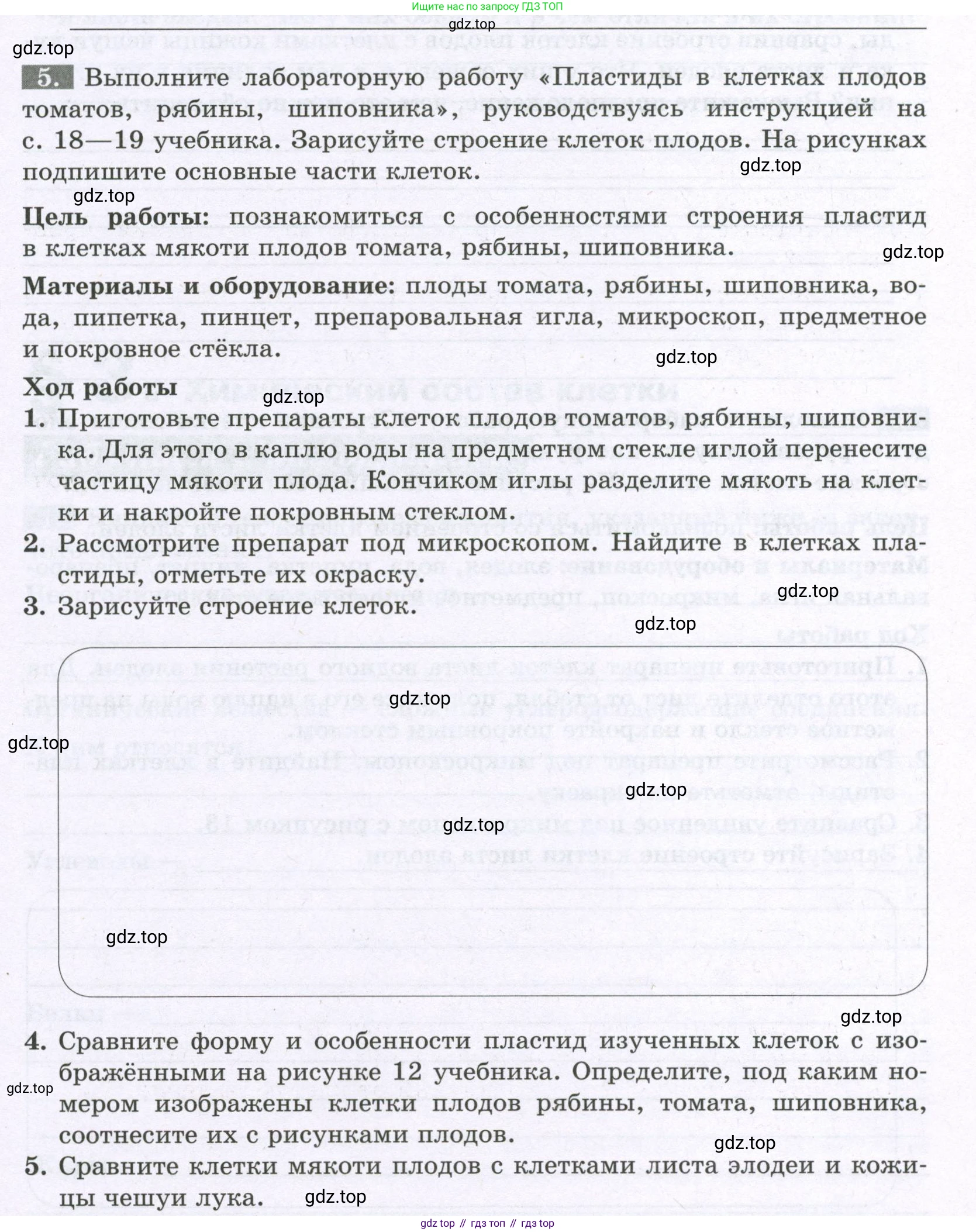 ГДЗ Биология, 6 класс рабочая тетрадь, авторы: Пасечник Владимир Васильевич, Суматохин Сергей Витальевич, Швецов Глеб Геннадьевич, Гапонюк Зоя Георгиевна, Косарькова Марина Викторовна, издательство Просвещение, Москва, 2023, белого цвета, страница 11, номер 5, Условие