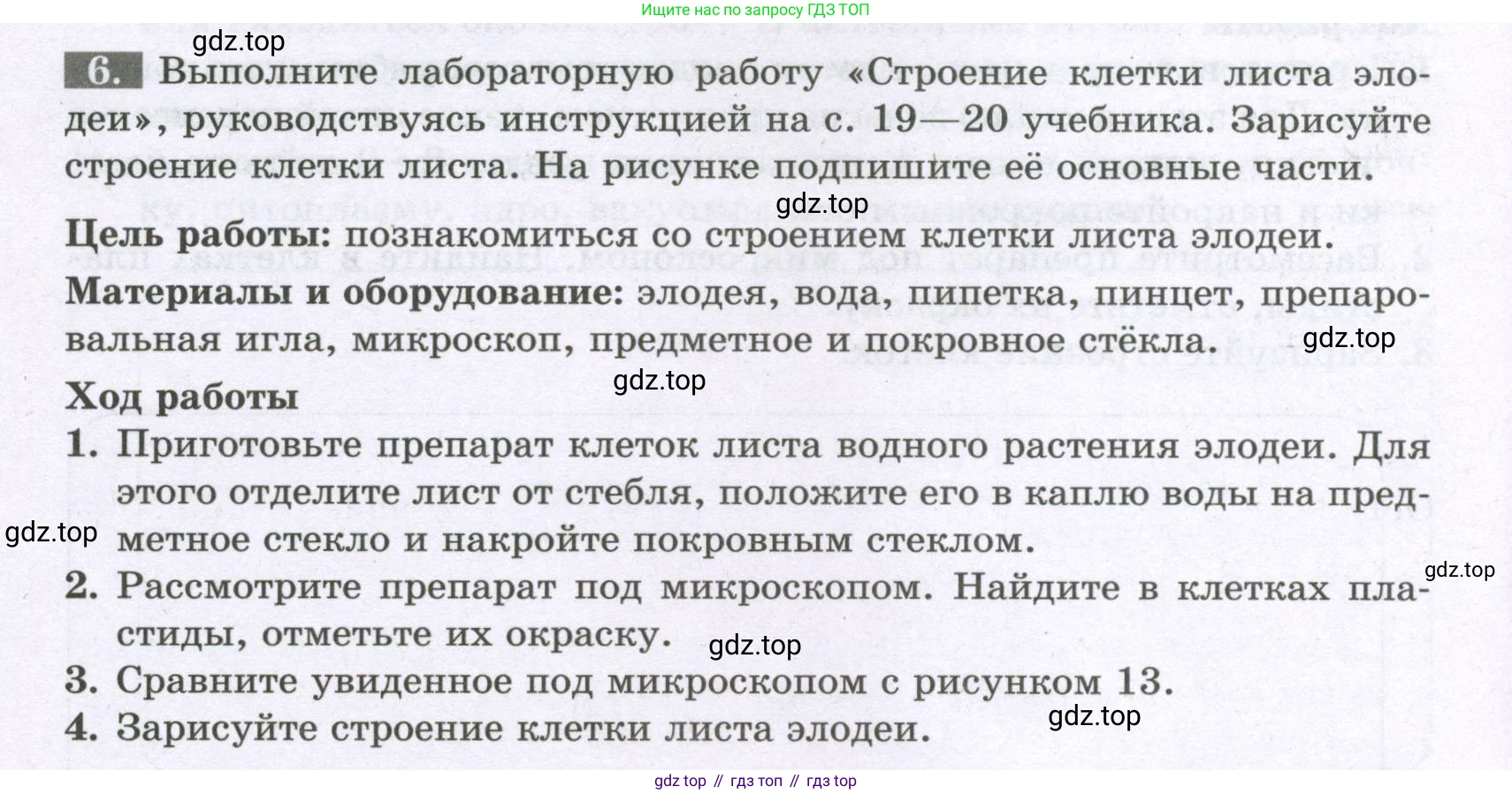 ГДЗ Биология, 6 класс рабочая тетрадь, авторы: Пасечник Владимир Васильевич, Суматохин Сергей Витальевич, Швецов Глеб Геннадьевич, Гапонюк Зоя Георгиевна, Косарькова Марина Викторовна, издательство Просвещение, Москва, 2023, белого цвета, страница 12, номер 6, Условие