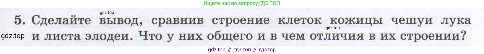 ГДЗ Биология, 6 класс рабочая тетрадь, авторы: Пасечник Владимир Васильевич, Суматохин Сергей Витальевич, Швецов Глеб Геннадьевич, Гапонюк Зоя Георгиевна, Косарькова Марина Викторовна, издательство Просвещение, Москва, 2023, белого цвета, страница 12, номер 6, Условие (продолжение 2)