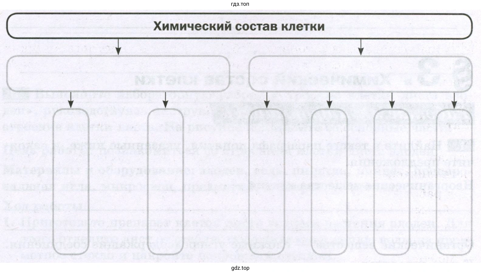Химический состав клетки