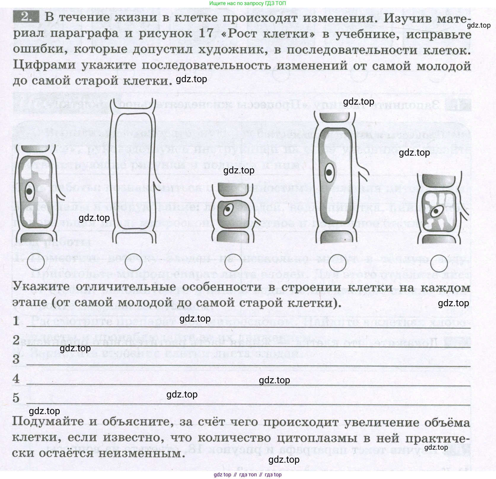 ГДЗ Биология, 6 класс рабочая тетрадь, авторы: Пасечник Владимир Васильевич, Суматохин Сергей Витальевич, Швецов Глеб Геннадьевич, Гапонюк Зоя Георгиевна, Косарькова Марина Викторовна, издательство Просвещение, Москва, 2023, белого цвета, страница 17, номер 2, Условие