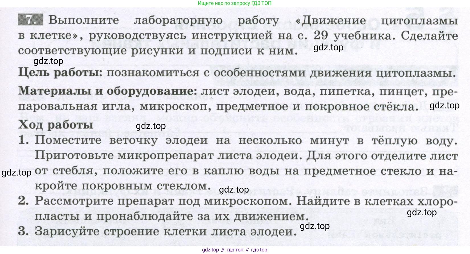 ГДЗ Биология, 6 класс рабочая тетрадь, авторы: Пасечник Владимир Васильевич, Суматохин Сергей Витальевич, Швецов Глеб Геннадьевич, Гапонюк Зоя Георгиевна, Косарькова Марина Викторовна, издательство Просвещение, Москва, 2023, белого цвета, страница 19, номер 7, Условие
