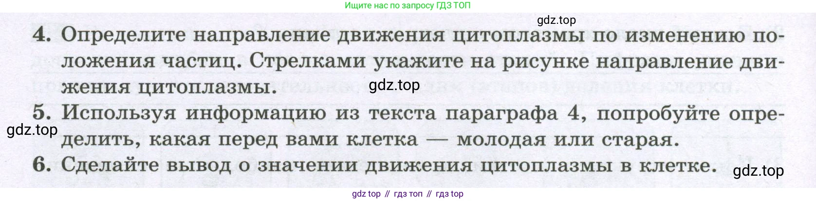 ГДЗ Биология, 6 класс рабочая тетрадь, авторы: Пасечник Владимир Васильевич, Суматохин Сергей Витальевич, Швецов Глеб Геннадьевич, Гапонюк Зоя Георгиевна, Косарькова Марина Викторовна, издательство Просвещение, Москва, 2023, белого цвета, страница 19, номер 7, Условие (продолжение 2)