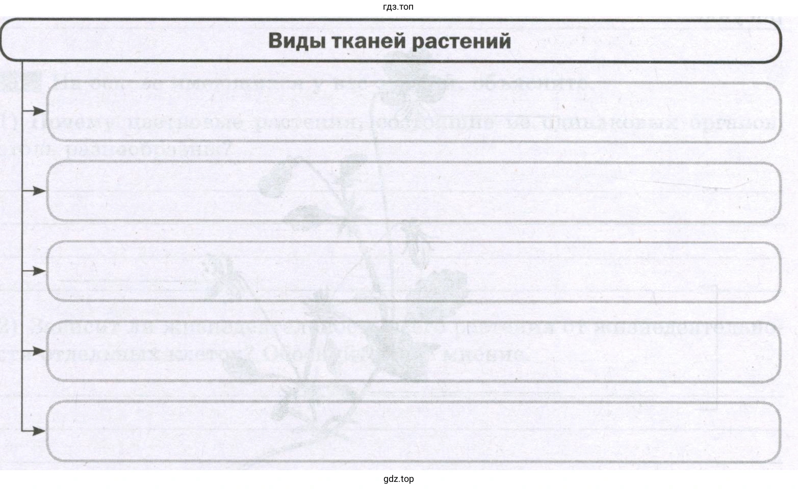 Виды тканей растений