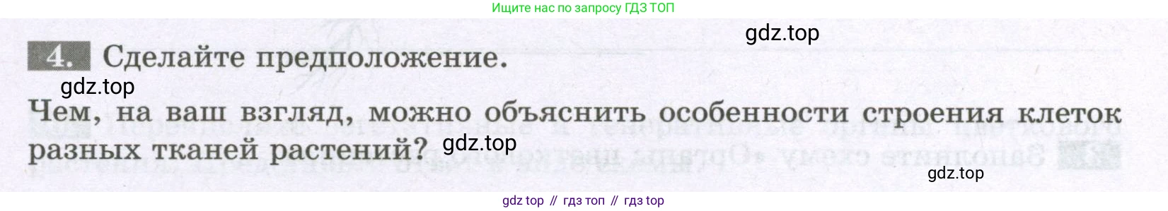 ГДЗ Биология, 6 класс рабочая тетрадь, авторы: Пасечник Владимир Васильевич, Суматохин Сергей Витальевич, Швецов Глеб Геннадьевич, Гапонюк Зоя Георгиевна, Косарькова Марина Викторовна, издательство Просвещение, Москва, 2023, белого цвета, страница 21, номер 4, Условие