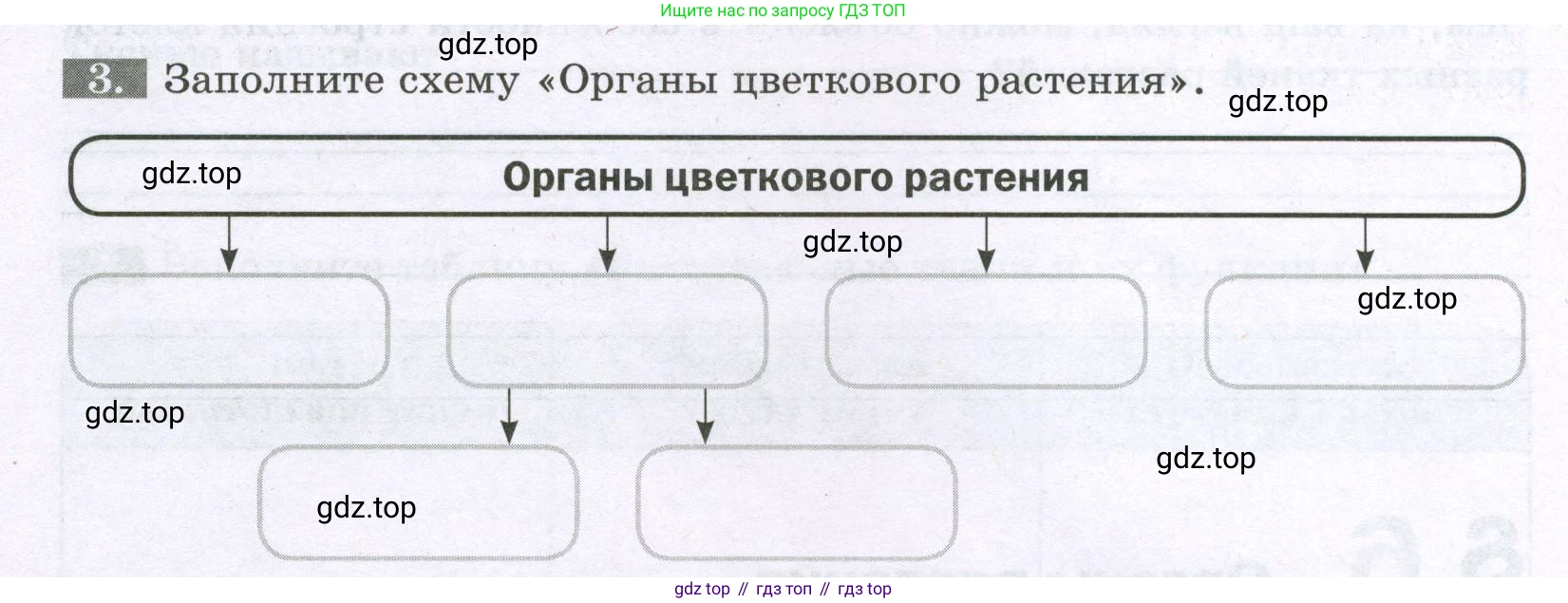 ГДЗ Биология, 6 класс рабочая тетрадь, авторы: Пасечник Владимир Васильевич, Суматохин Сергей Витальевич, Швецов Глеб Геннадьевич, Гапонюк Зоя Георгиевна, Косарькова Марина Викторовна, издательство Просвещение, Москва, 2023, белого цвета, страница 22, номер 3, Условие