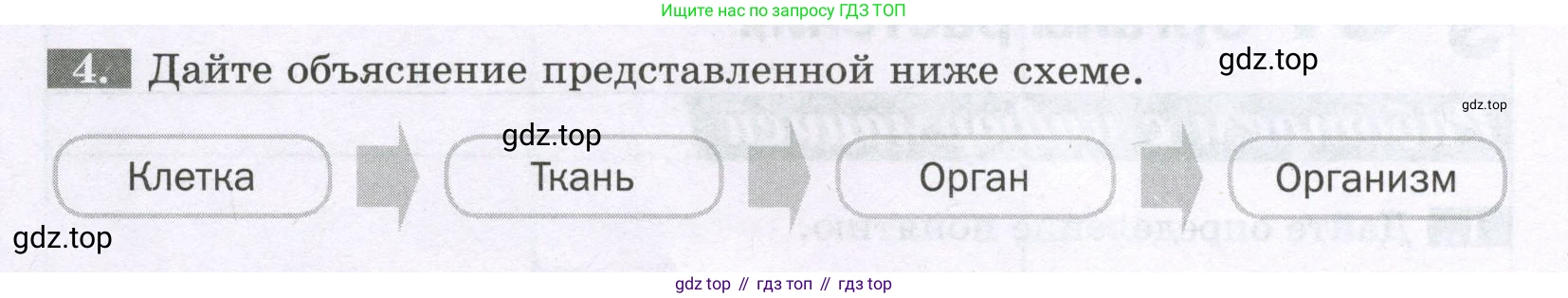 ГДЗ Биология, 6 класс рабочая тетрадь, авторы: Пасечник Владимир Васильевич, Суматохин Сергей Витальевич, Швецов Глеб Геннадьевич, Гапонюк Зоя Георгиевна, Косарькова Марина Викторовна, издательство Просвещение, Москва, 2023, белого цвета, страница 22, номер 4, Условие