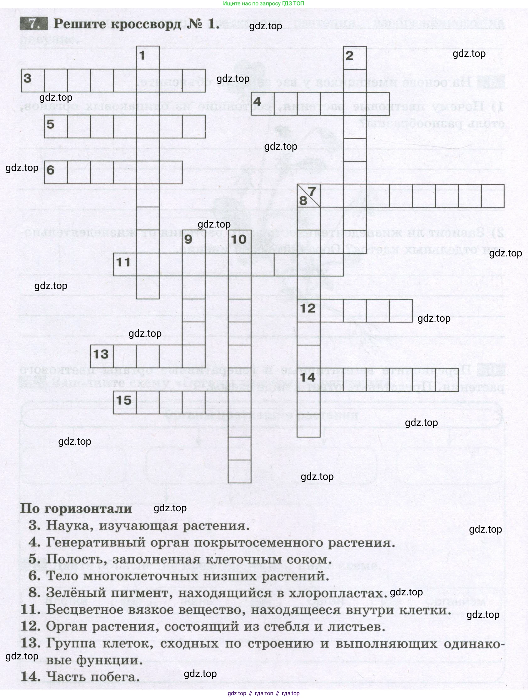 Биология, 6 класс рабочая тетрадь, авторы: Пасечник Владимир Васильевич, Суматохин Сергей Витальевич, Швецов Глеб Геннадьевич, Гапонюк Зоя Георгиевна, Косарькова Марина Викторовна, издательство Просвещение, Москва, 2023, белого цвета, страница 24, номер 7, Условие