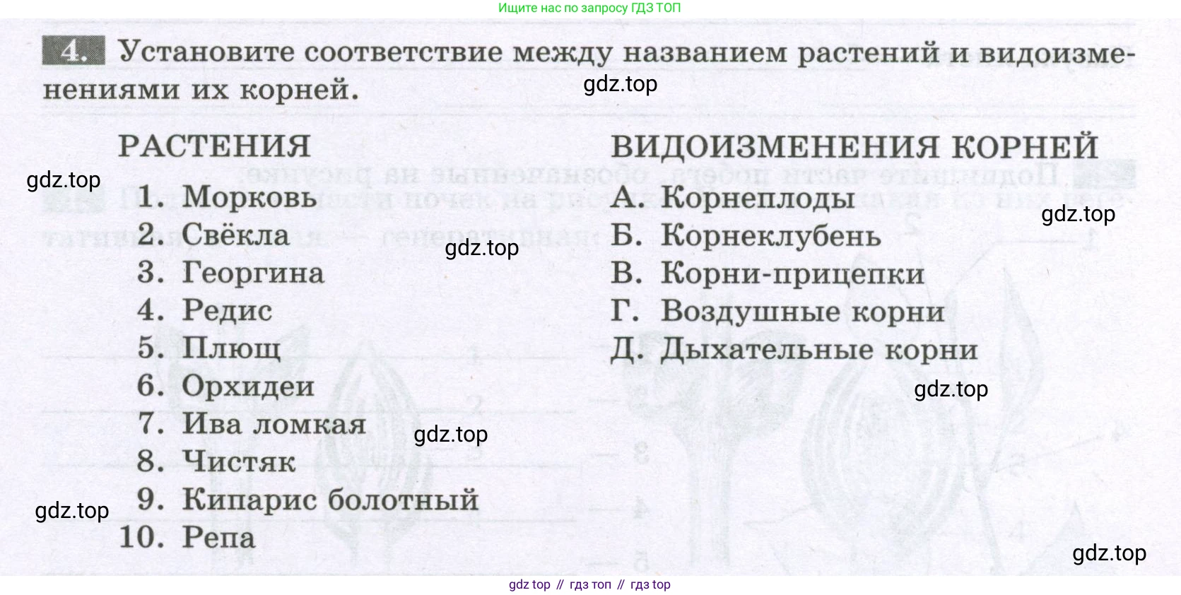 ГДЗ Биология, 6 класс рабочая тетрадь, авторы: Пасечник Владимир Васильевич, Суматохин Сергей Витальевич, Швецов Глеб Геннадьевич, Гапонюк Зоя Георгиевна, Косарькова Марина Викторовна, издательство Просвещение, Москва, 2023, белого цвета, страница 41, номер 4, Условие