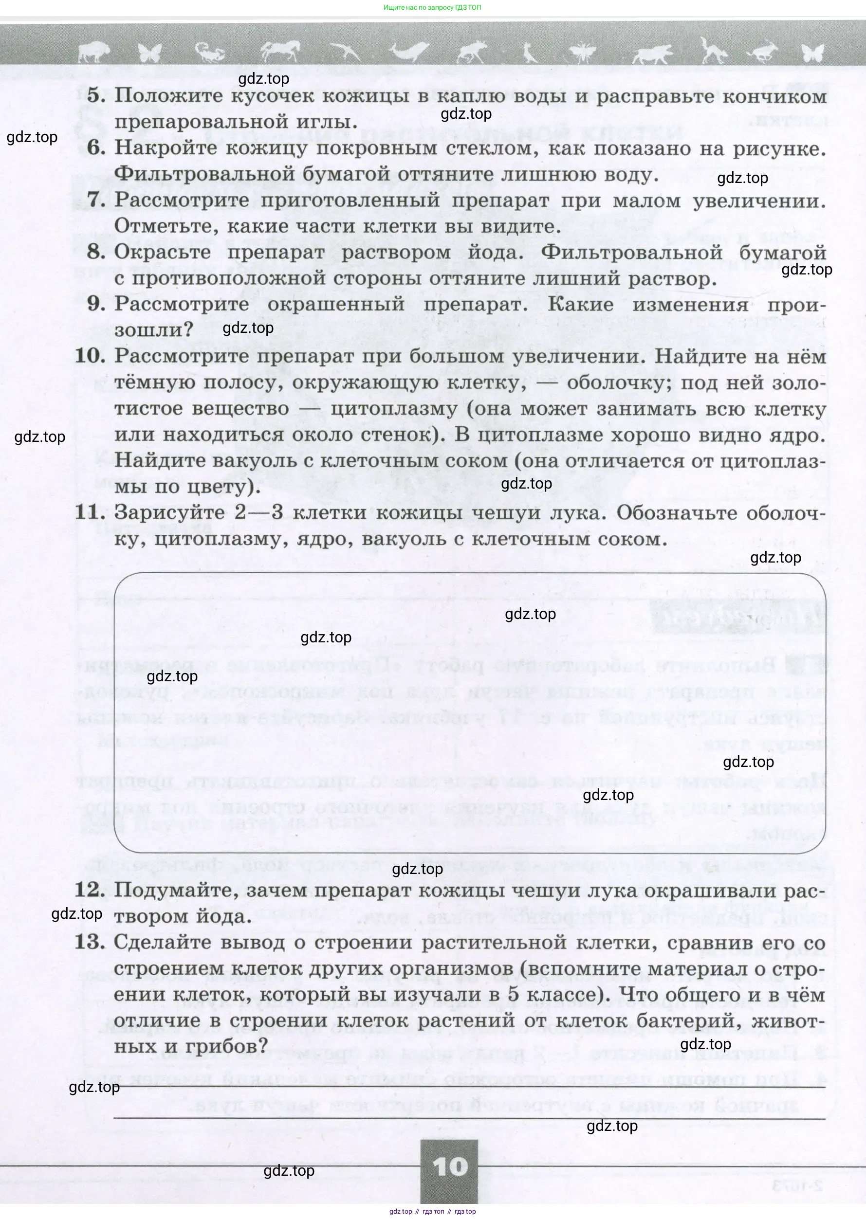 Биология, 6 класс рабочая тетрадь, авторы: Пасечник Владимир Васильевич, Суматохин Сергей Витальевич, Швецов Глеб Геннадьевич, Гапонюк Зоя Георгиевна, Косарькова Марина Викторовна, издательство Просвещение, Москва, 2023, белого цвета, страница 10