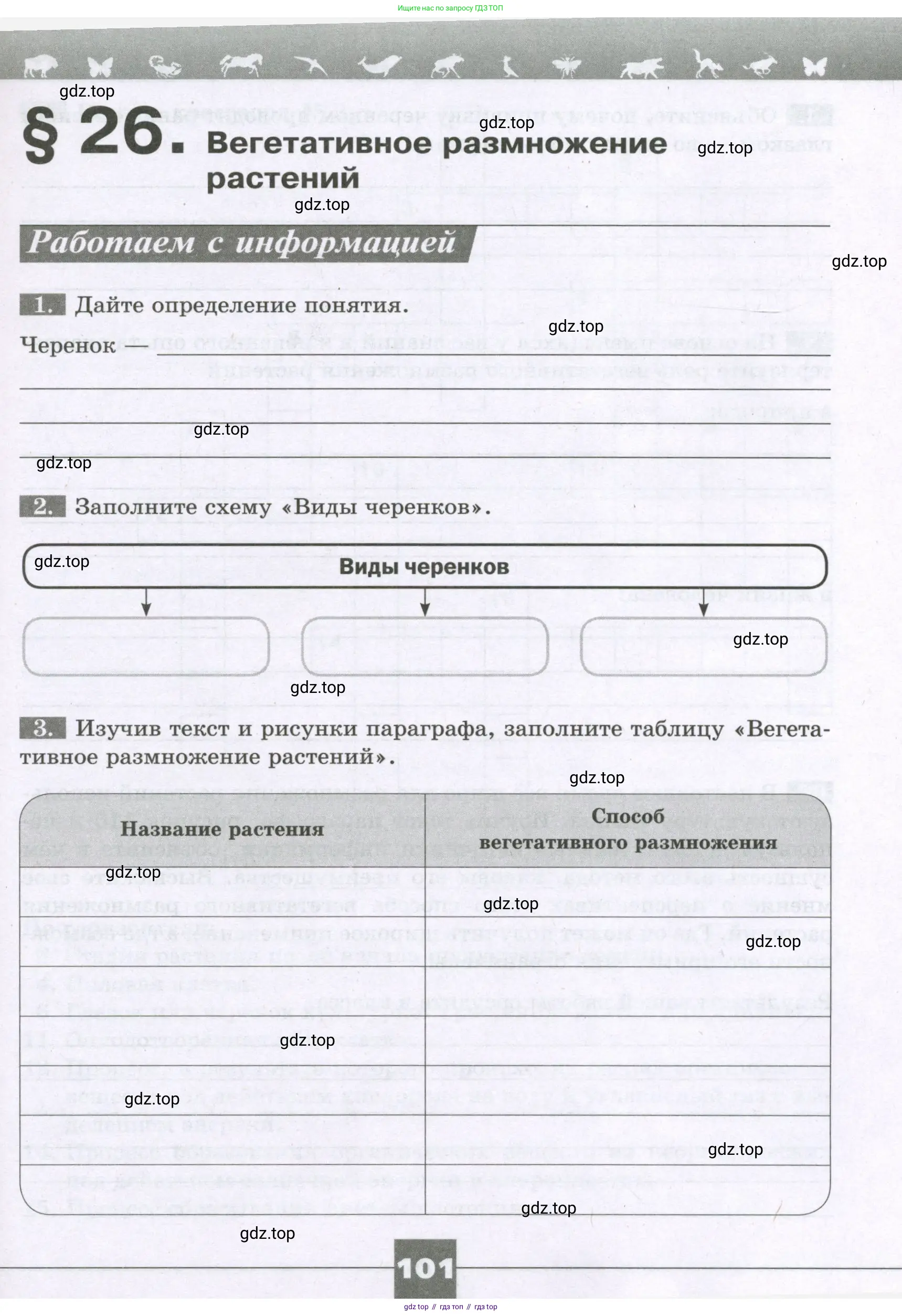 Биология, 6 класс рабочая тетрадь, авторы: Пасечник Владимир Васильевич, Суматохин Сергей Витальевич, Швецов Глеб Геннадьевич, Гапонюк Зоя Георгиевна, Косарькова Марина Викторовна, издательство Просвещение, Москва, 2023, белого цвета, страница 101
