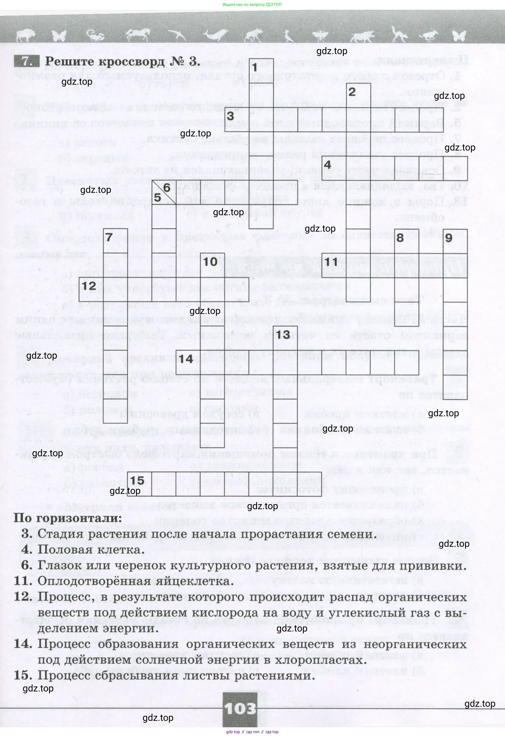 Биология, 6 класс рабочая тетрадь, авторы: Пасечник Владимир Васильевич, Суматохин Сергей Витальевич, Швецов Глеб Геннадьевич, Гапонюк Зоя Георгиевна, Косарькова Марина Викторовна, издательство Просвещение, Москва, 2023, белого цвета, страница 103