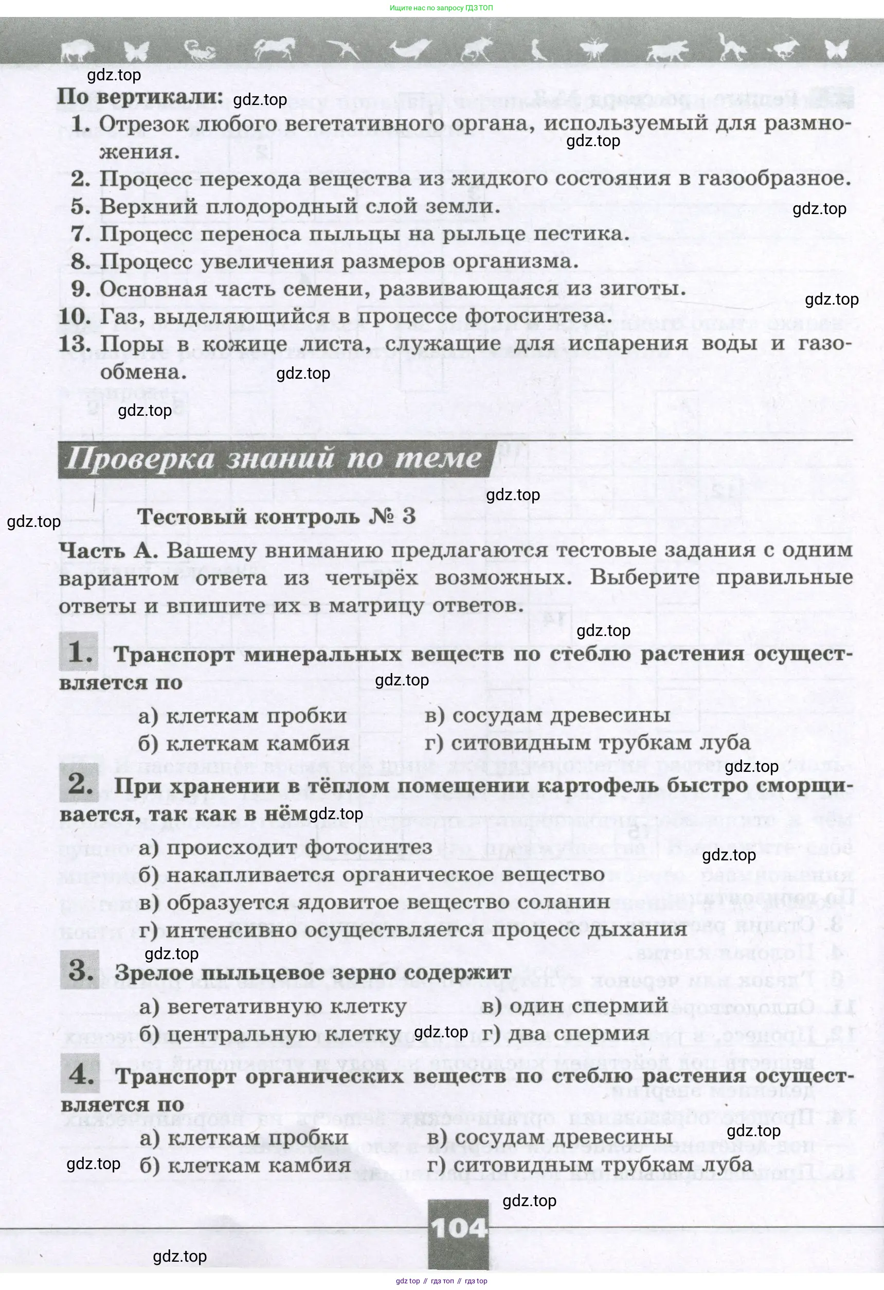 Биология, 6 класс рабочая тетрадь, авторы: Пасечник Владимир Васильевич, Суматохин Сергей Витальевич, Швецов Глеб Геннадьевич, Гапонюк Зоя Георгиевна, Косарькова Марина Викторовна, издательство Просвещение, Москва, 2023, белого цвета, страница 104