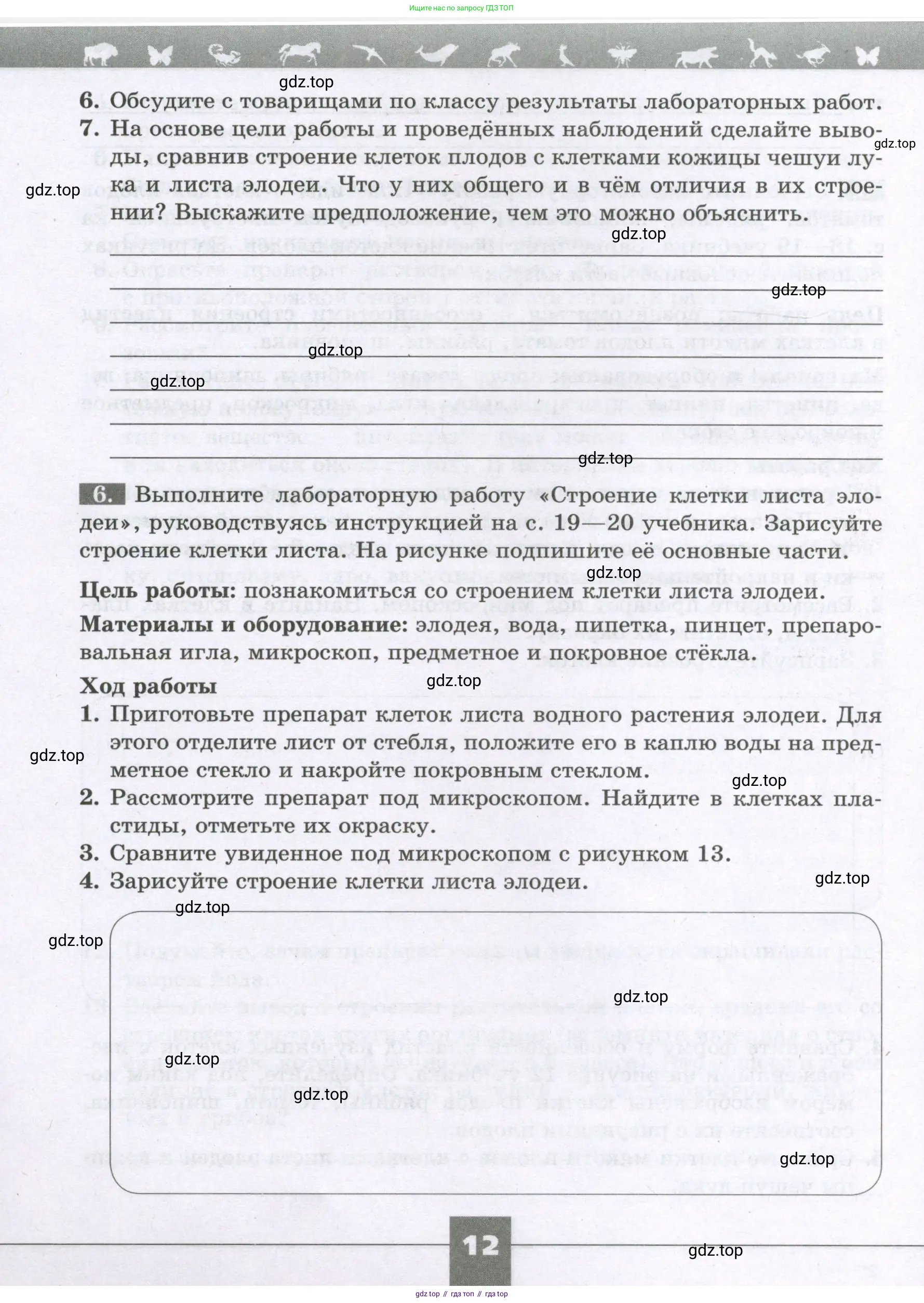 Биология, 6 класс рабочая тетрадь, авторы: Пасечник Владимир Васильевич, Суматохин Сергей Витальевич, Швецов Глеб Геннадьевич, Гапонюк Зоя Георгиевна, Косарькова Марина Викторовна, издательство Просвещение, Москва, 2023, белого цвета, страница 12