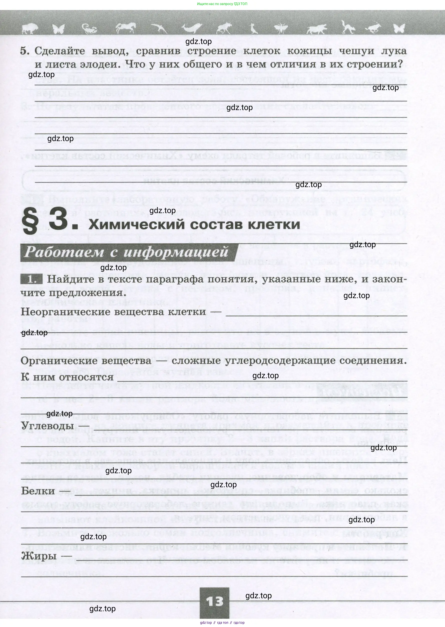Биология, 6 класс рабочая тетрадь, авторы: Пасечник Владимир Васильевич, Суматохин Сергей Витальевич, Швецов Глеб Геннадьевич, Гапонюк Зоя Георгиевна, Косарькова Марина Викторовна, издательство Просвещение, Москва, 2023, белого цвета, страница 13