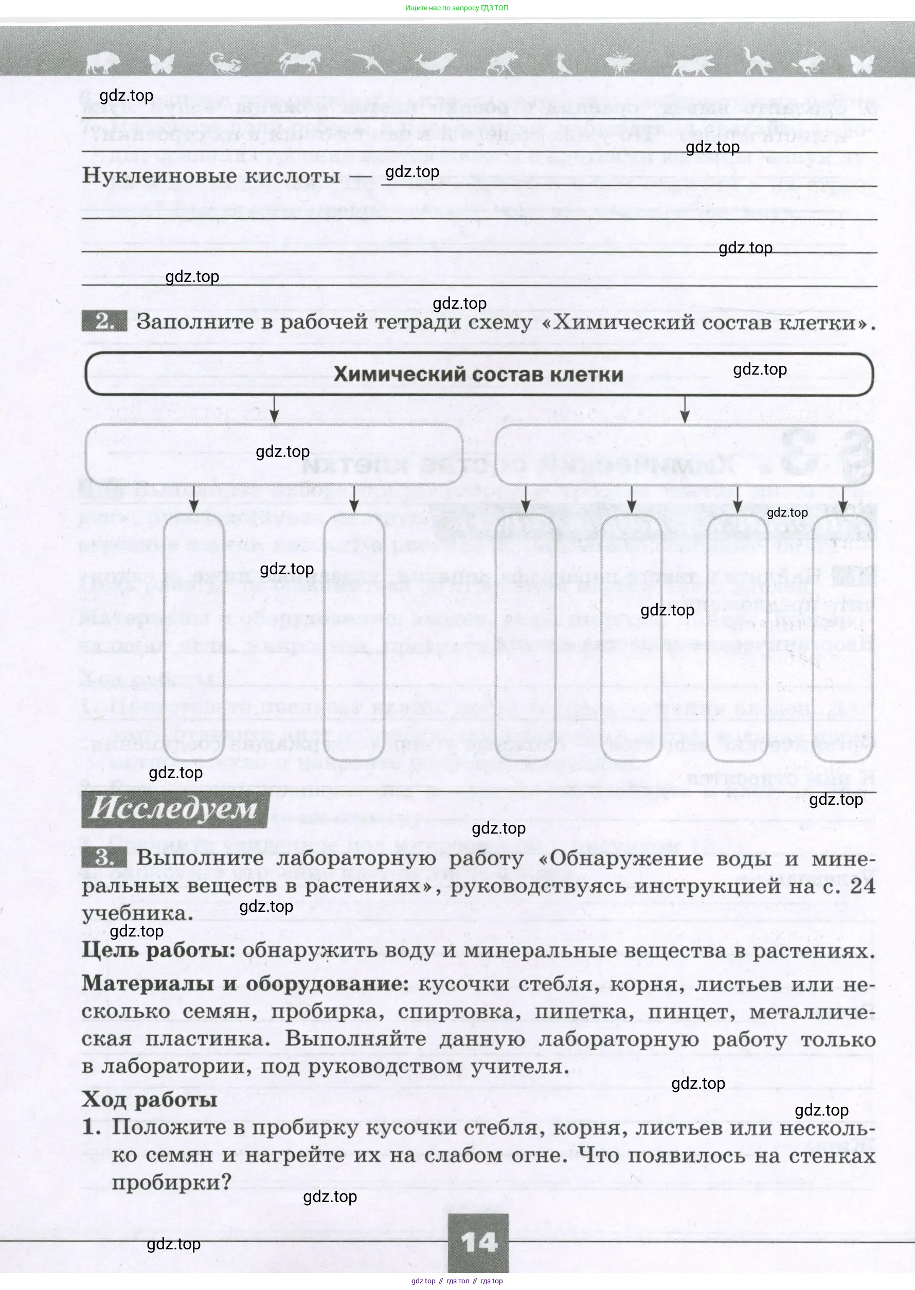 Биология, 6 класс рабочая тетрадь, авторы: Пасечник Владимир Васильевич, Суматохин Сергей Витальевич, Швецов Глеб Геннадьевич, Гапонюк Зоя Георгиевна, Косарькова Марина Викторовна, издательство Просвещение, Москва, 2023, белого цвета, страница 14