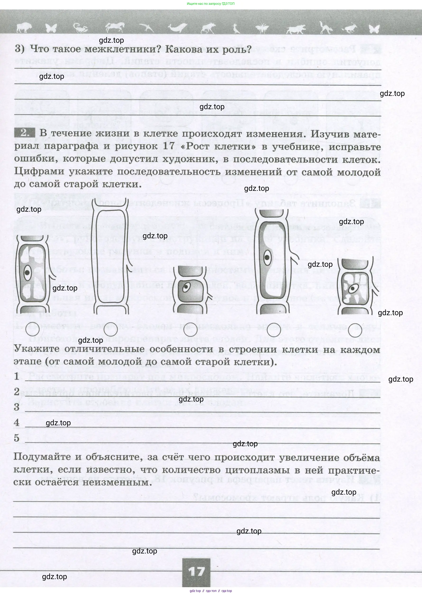 Биология, 6 класс рабочая тетрадь, авторы: Пасечник Владимир Васильевич, Суматохин Сергей Витальевич, Швецов Глеб Геннадьевич, Гапонюк Зоя Георгиевна, Косарькова Марина Викторовна, издательство Просвещение, Москва, 2023, белого цвета, страница 17