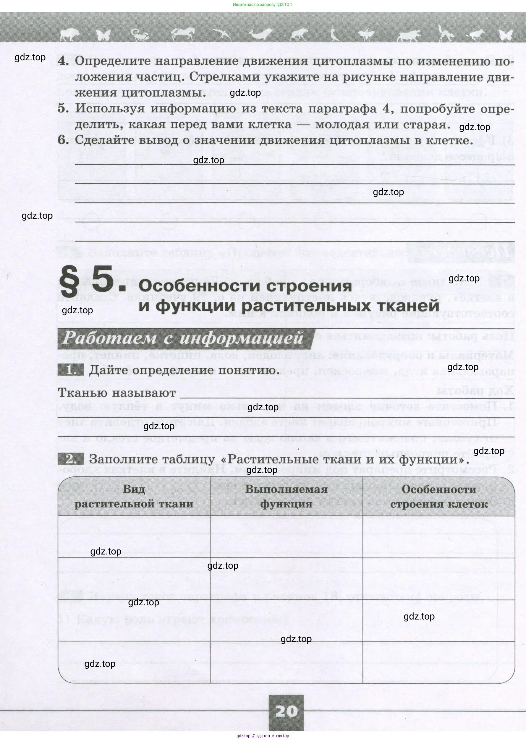 Биология, 6 класс рабочая тетрадь, авторы: Пасечник Владимир Васильевич, Суматохин Сергей Витальевич, Швецов Глеб Геннадьевич, Гапонюк Зоя Георгиевна, Косарькова Марина Викторовна, издательство Просвещение, Москва, 2023, белого цвета, страница 20