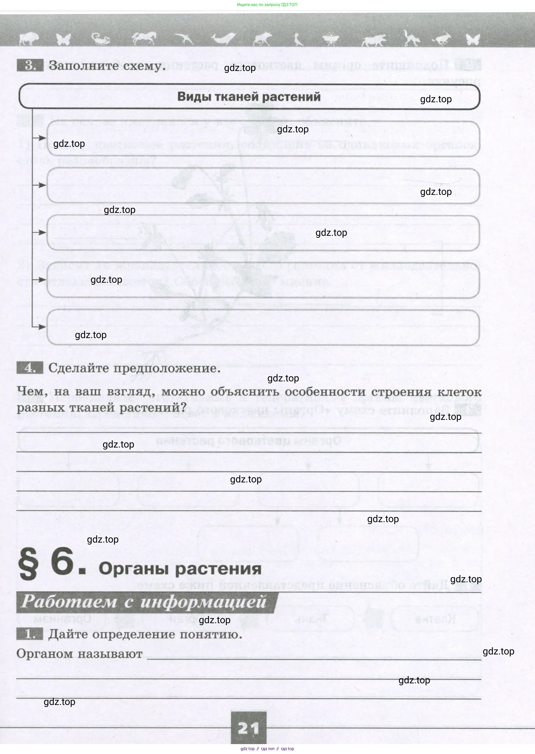 Биология, 6 класс рабочая тетрадь, авторы: Пасечник Владимир Васильевич, Суматохин Сергей Витальевич, Швецов Глеб Геннадьевич, Гапонюк Зоя Георгиевна, Косарькова Марина Викторовна, издательство Просвещение, Москва, 2023, белого цвета, страница 21