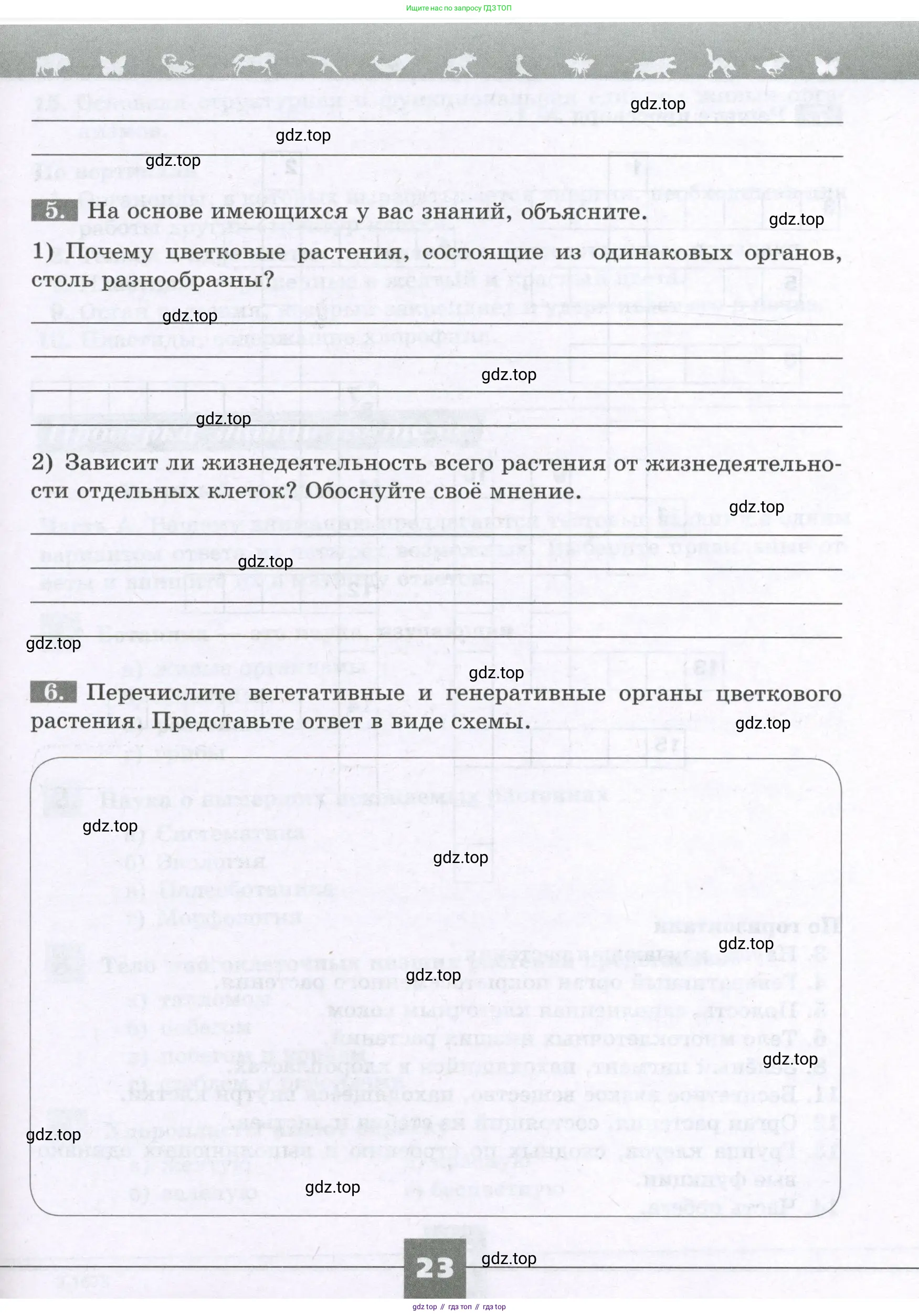 Биология, 6 класс рабочая тетрадь, авторы: Пасечник Владимир Васильевич, Суматохин Сергей Витальевич, Швецов Глеб Геннадьевич, Гапонюк Зоя Георгиевна, Косарькова Марина Викторовна, издательство Просвещение, Москва, 2023, белого цвета, страница 23