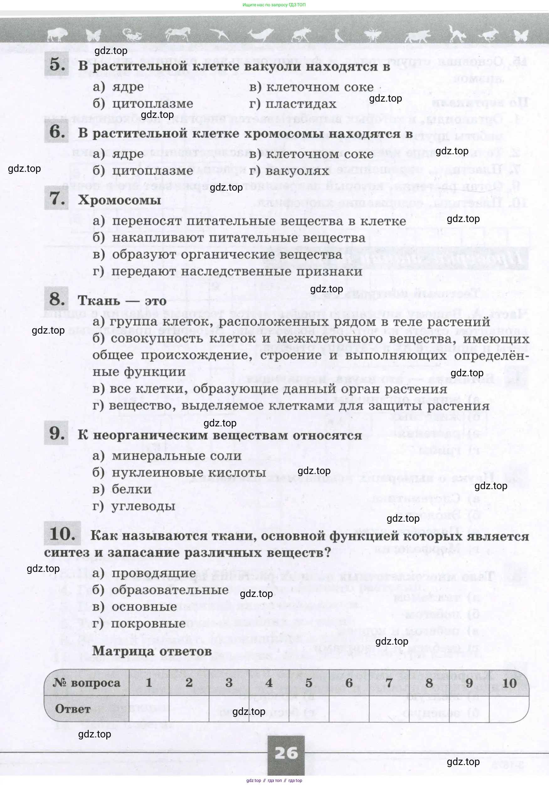 Биология, 6 класс рабочая тетрадь, авторы: Пасечник Владимир Васильевич, Суматохин Сергей Витальевич, Швецов Глеб Геннадьевич, Гапонюк Зоя Георгиевна, Косарькова Марина Викторовна, издательство Просвещение, Москва, 2023, белого цвета, страница 26