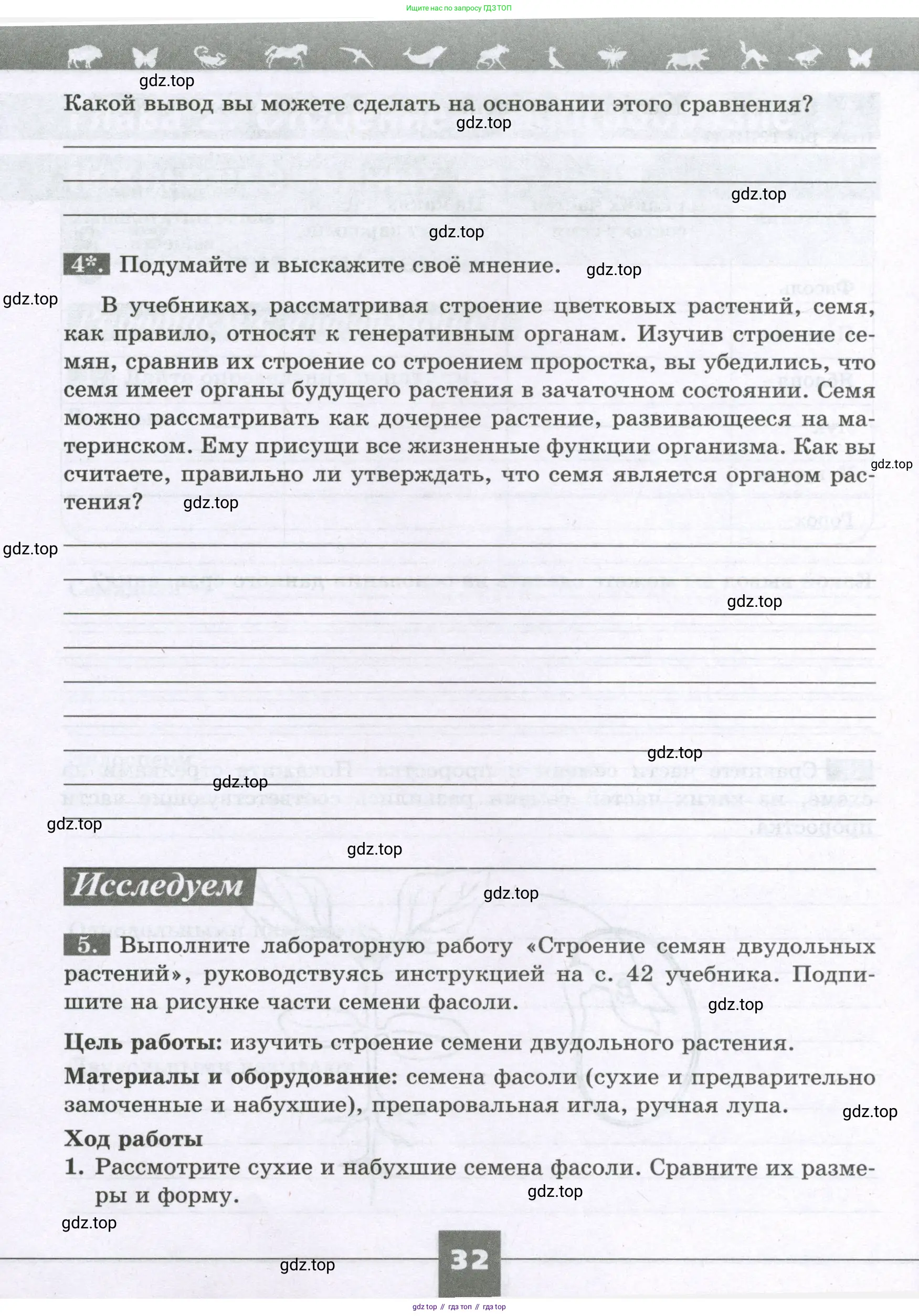 Биология, 6 класс рабочая тетрадь, авторы: Пасечник Владимир Васильевич, Суматохин Сергей Витальевич, Швецов Глеб Геннадьевич, Гапонюк Зоя Георгиевна, Косарькова Марина Викторовна, издательство Просвещение, Москва, 2023, белого цвета, страница 32