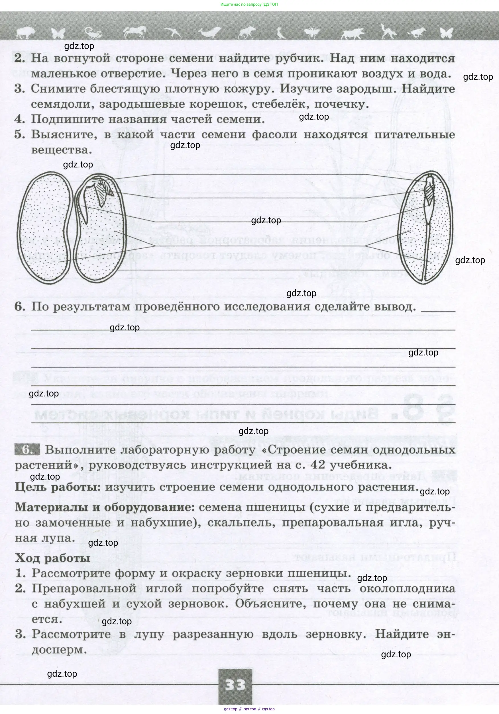 Биология, 6 класс рабочая тетрадь, авторы: Пасечник Владимир Васильевич, Суматохин Сергей Витальевич, Швецов Глеб Геннадьевич, Гапонюк Зоя Георгиевна, Косарькова Марина Викторовна, издательство Просвещение, Москва, 2023, белого цвета, страница 33